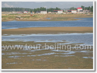 Beijing Beidaihe 3 Day Bird Watching Tour
